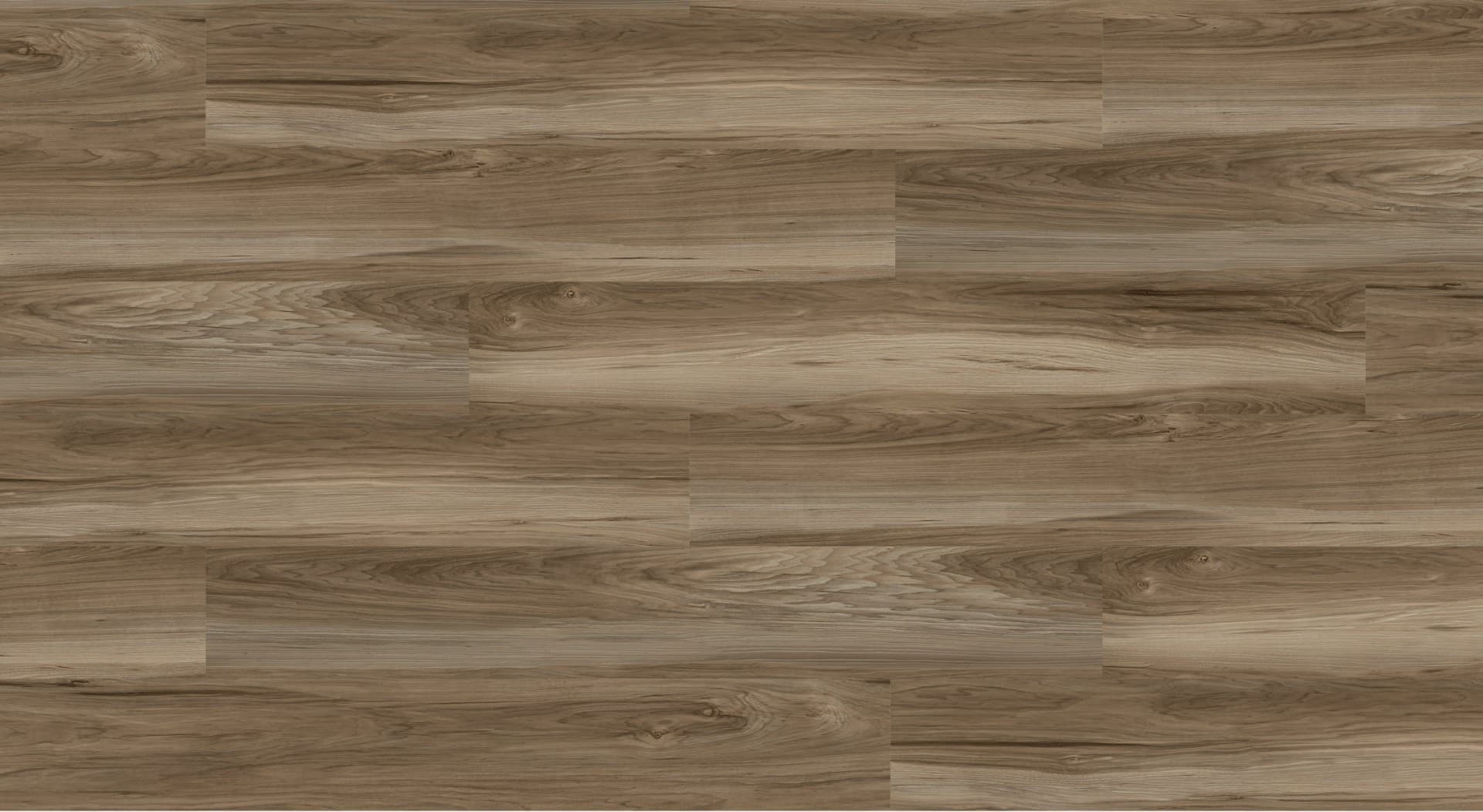 SPC Wall Panel 19005-2 Color