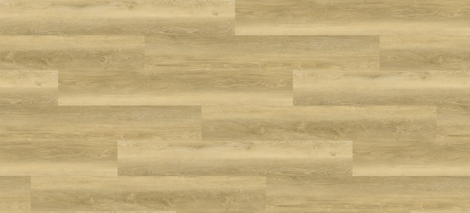 SPC Wall Panel 19017-13 Color