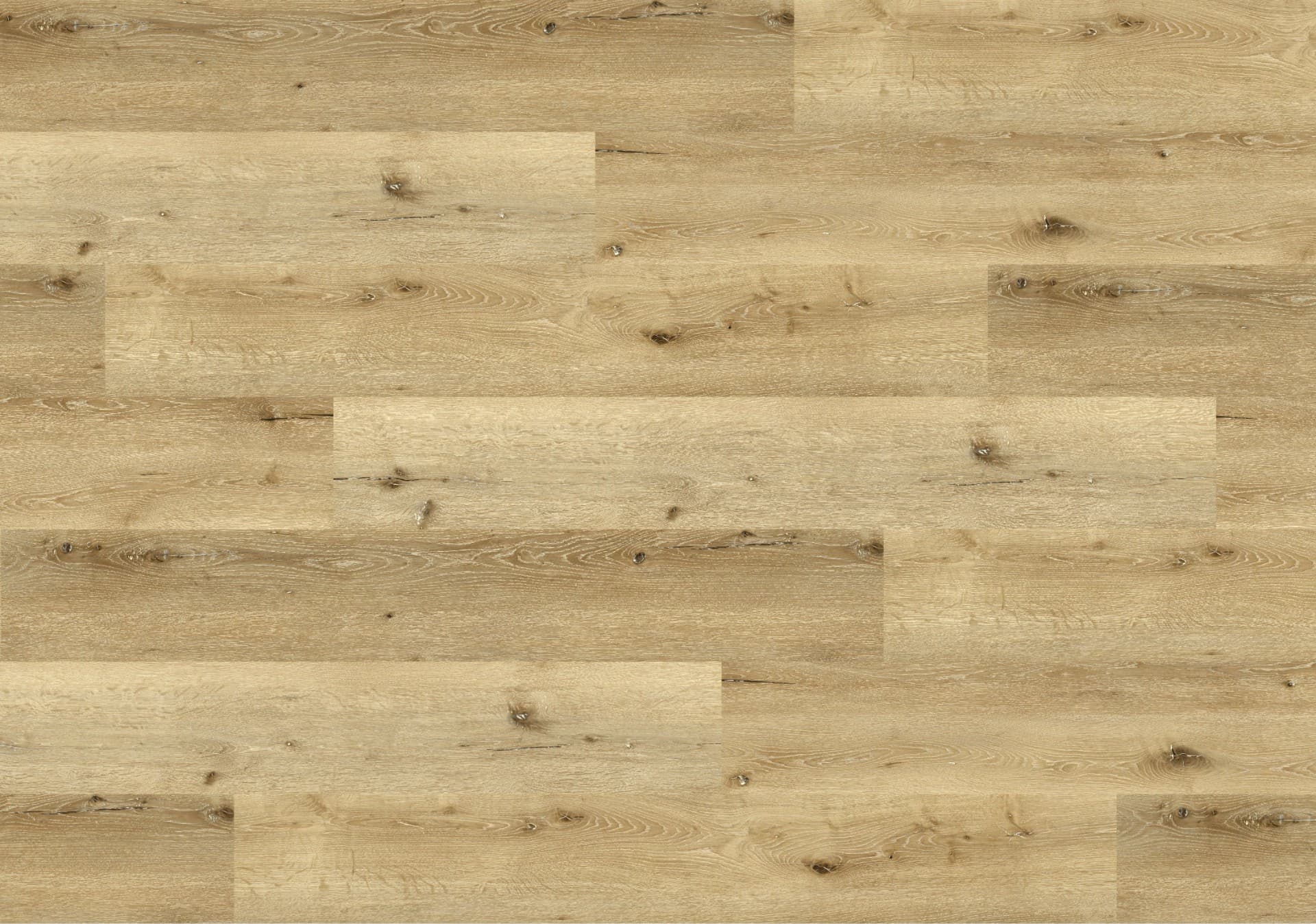 SPC Wall Panel 2657-6 Color