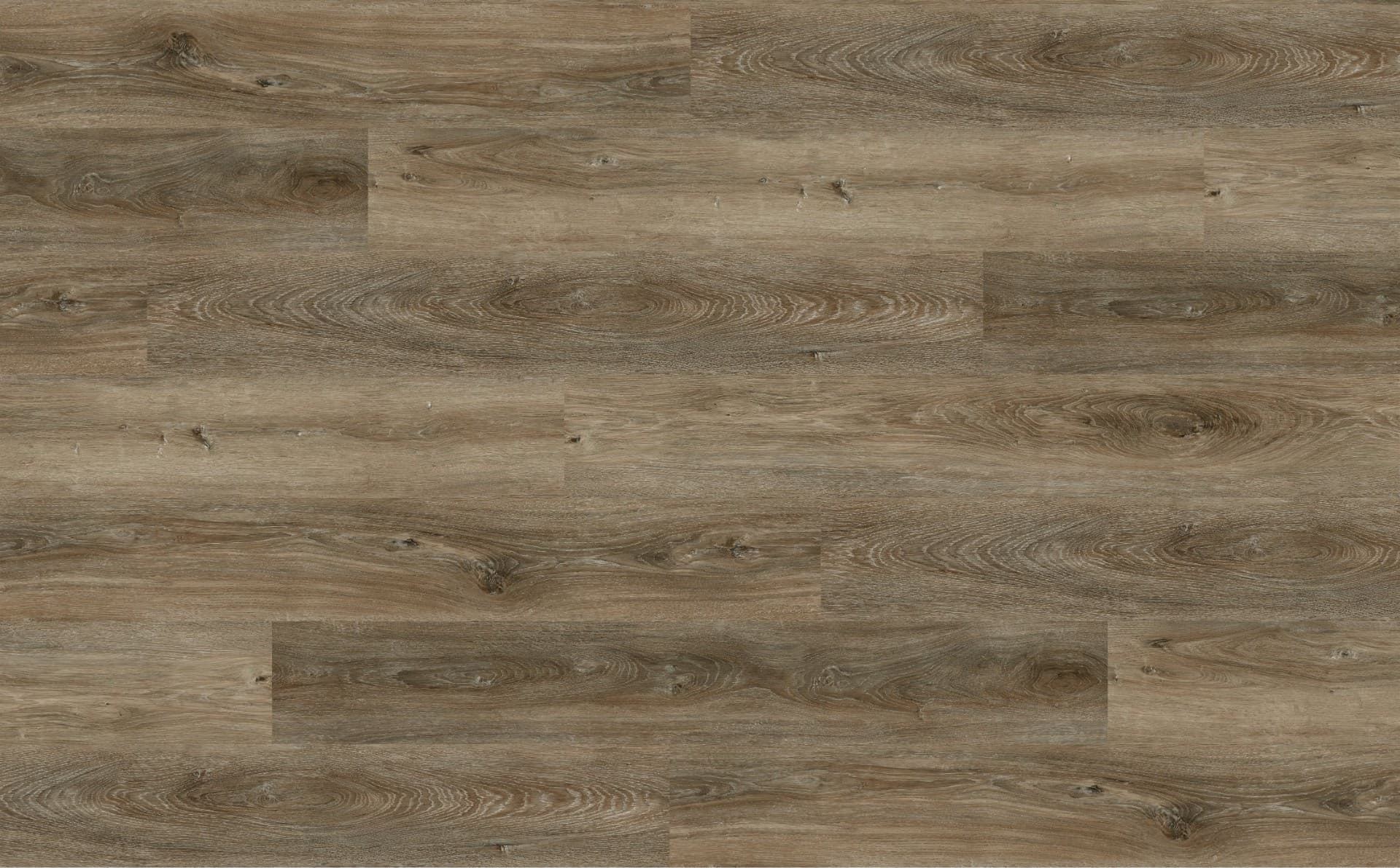 SPC Wall Panel 29070-3 Color