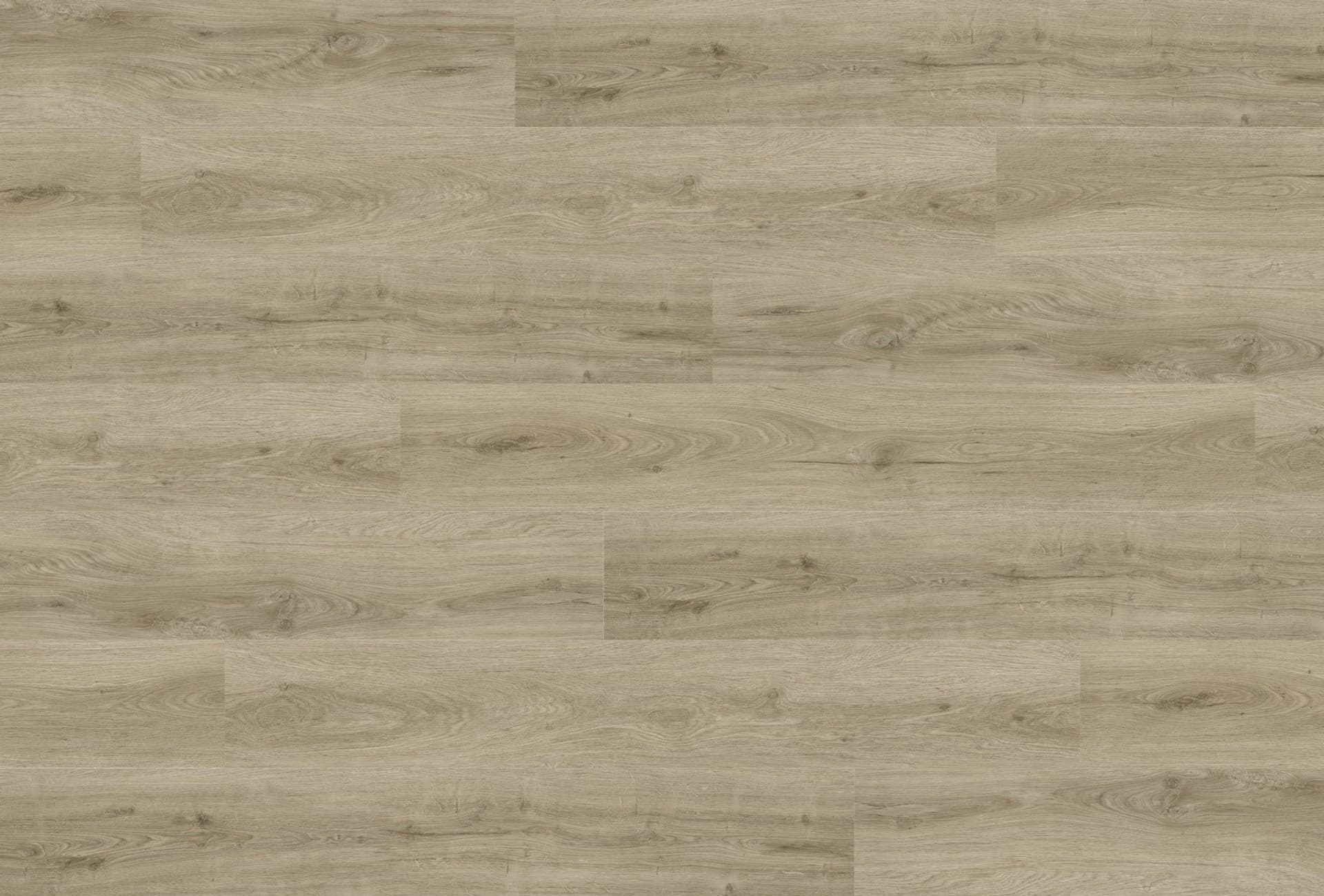 SPC Wall Panel 29098-4 Color