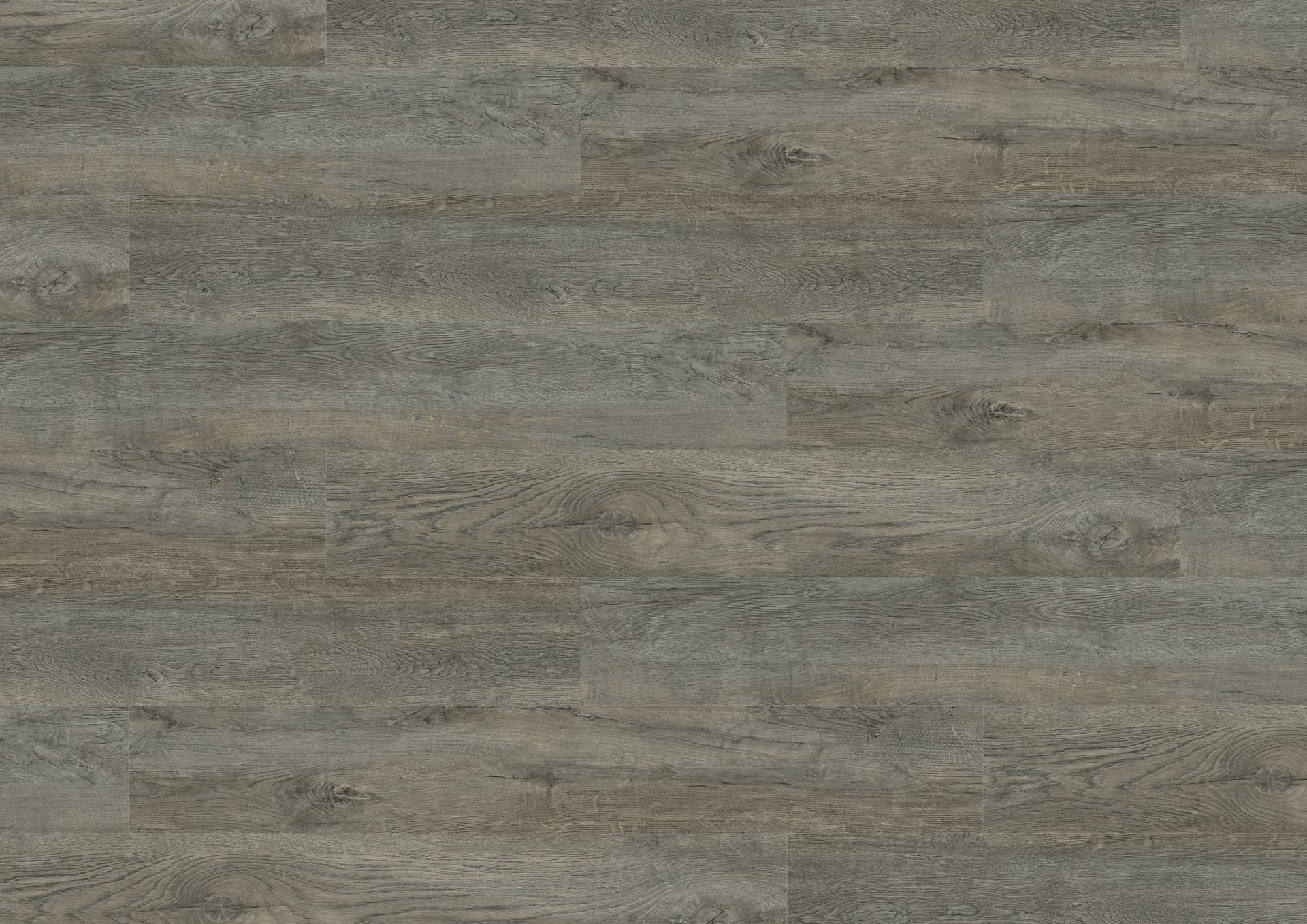 SPC Wall Panel 29123-3 Color