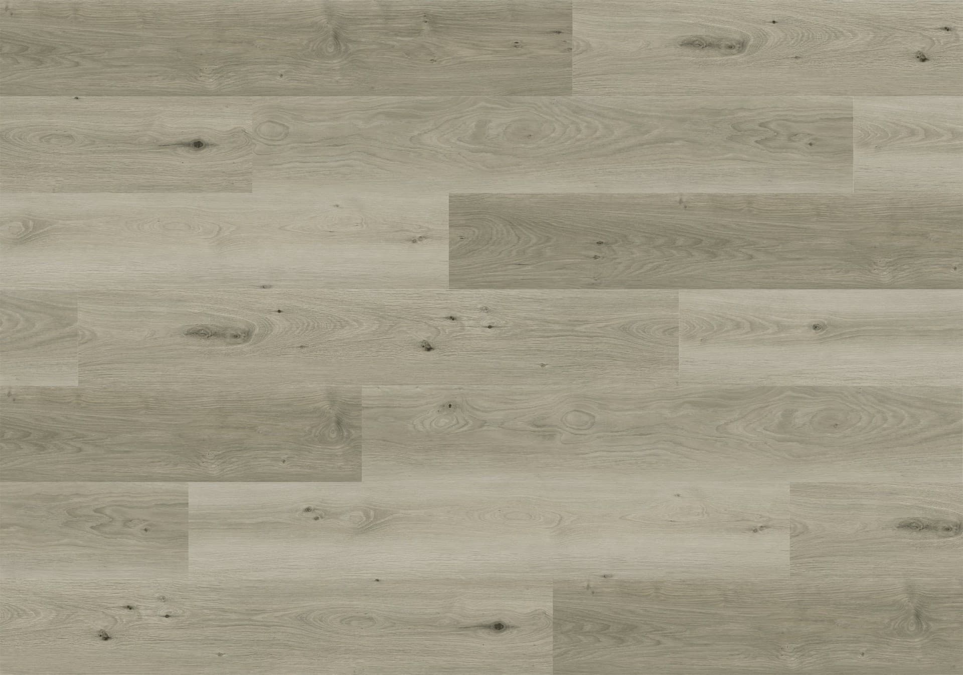 SPC Wall Panel 29167B-19 Color