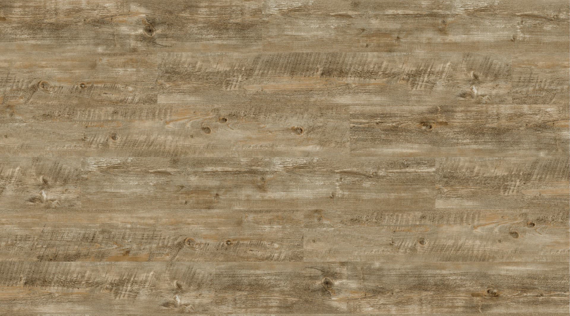 SPC Wall Panel 7237 Color