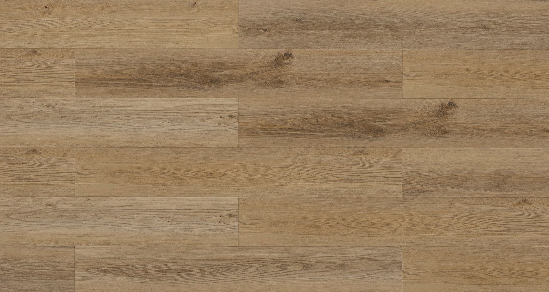 SPC Wall Panel OM1581-09 Color