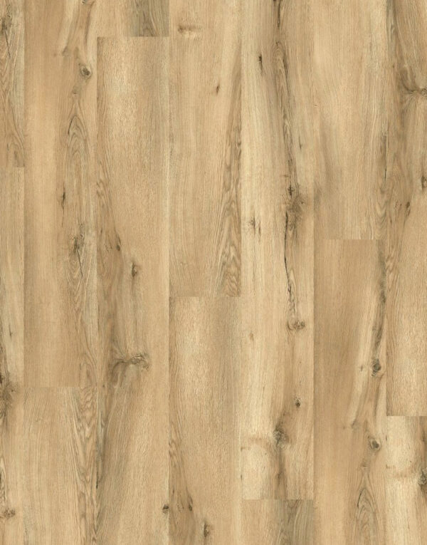Cinnamon Oak 29036-11-1