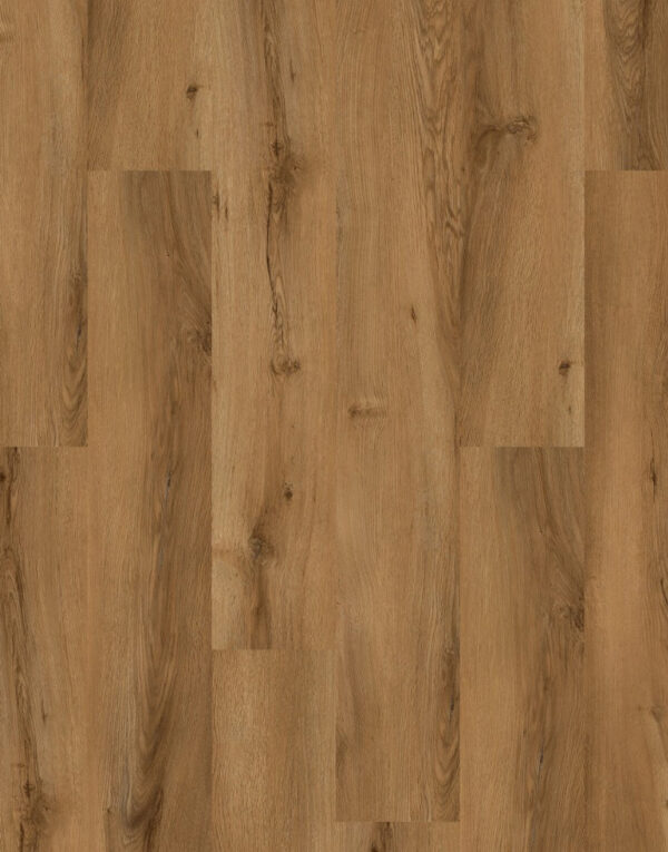 Classic Amber 29036-5-1