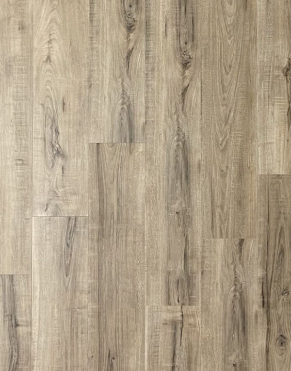 Desert Oak 2641-3-1