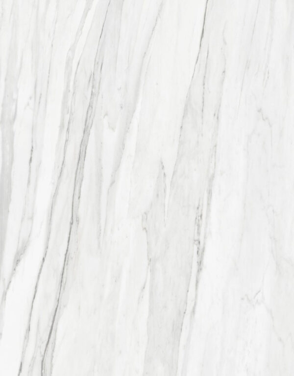 Marble Statuario w23138-2-1